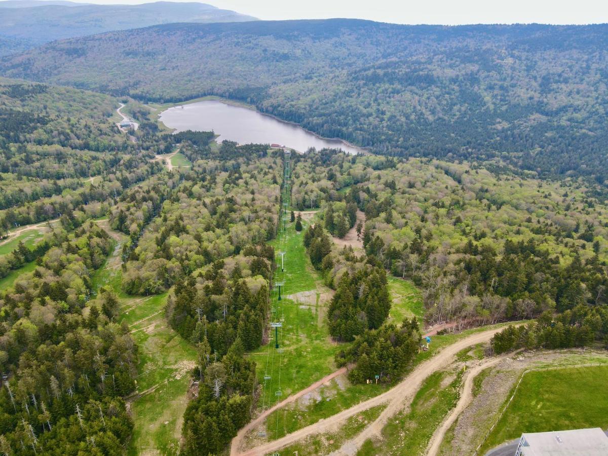 Remodeled Ski In-Out - 305 Soaring Eagle - Luxury! Dunmore Ngoại thất bức ảnh
